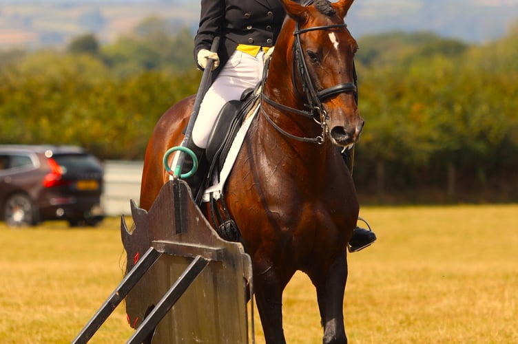 Skill on show in the riding classes.