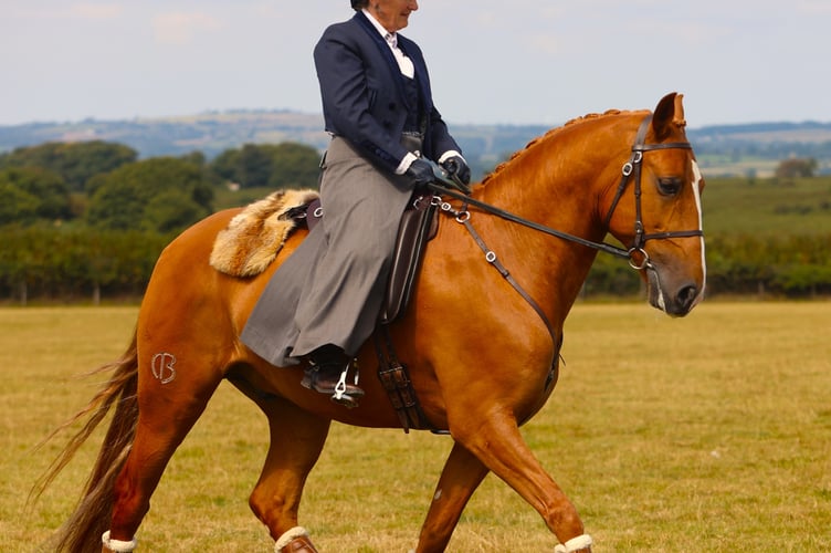 An elegant horsewoman is among the exhibitors at the Whitchurch & Sampford Spiney Sheepdog Trials and Fun Day.