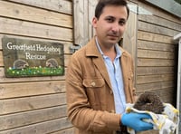 Hedgehog lover walks for West Devon sanctuary