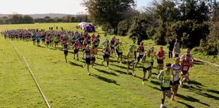 Tavy 7 race on the horizon once again