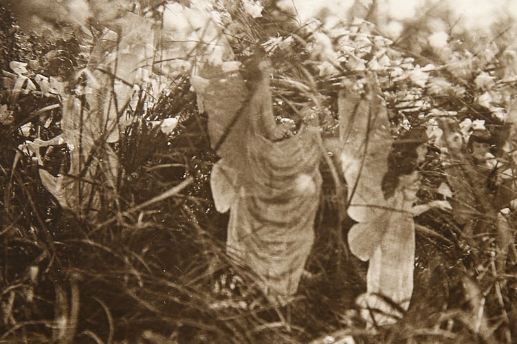 The mysterious fifth photo of fairies taken after the schoolgirls had admitted their hoax, yet Frances Griffiths continued to believe showed the real fairies at Cottingley.