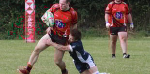Tavistock earn a late losing bonus point