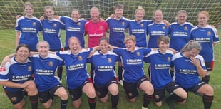 Lambs show their bite despite opening defeat