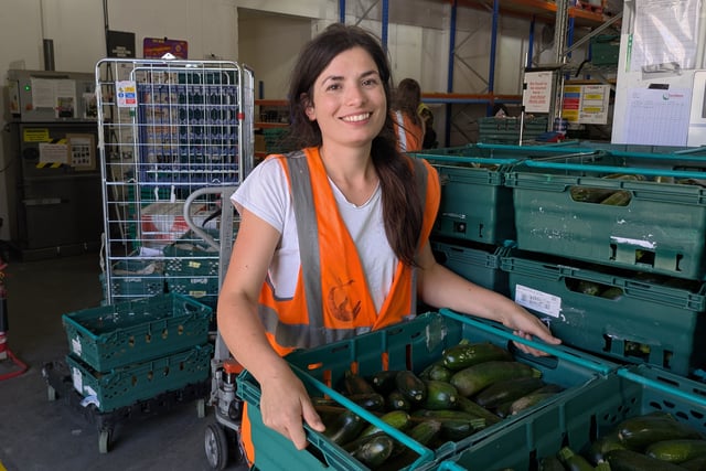 Turn your surplus courgettes into a tasty meal