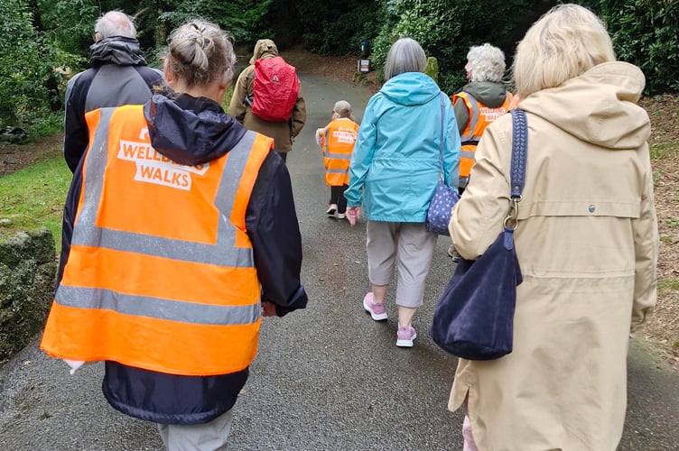 Wellbeing Walks welcome all for mental and physical wellbeing.