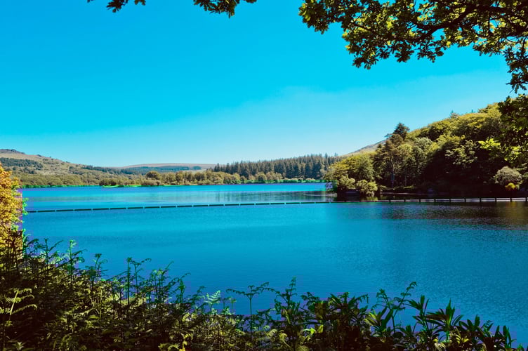 Burrator Reservoir - Carolyn Norris