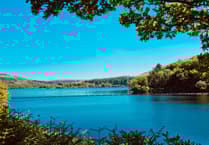 Police witness appeal after Dartmoor dog attack