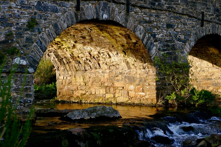 National Parks in England and Wales, including Dartmoor, encompass some of the most biodiverse and important rivers in the country.
