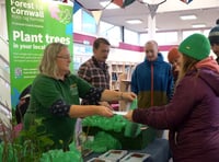 Forest for Cornwall tree giveaway at Callington’s Honey Fair