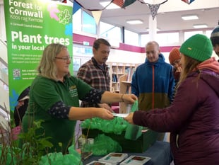 Forest for Cornwall tree giveaway at Callington’s Honey Fair