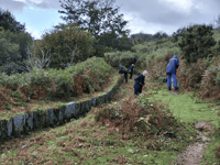 Volunteers clear Drake's Leat on Dartmoor