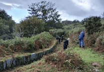 Volunteers tackle Drake's Leat gorse