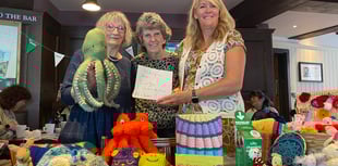 Name the knitted octopus for charity