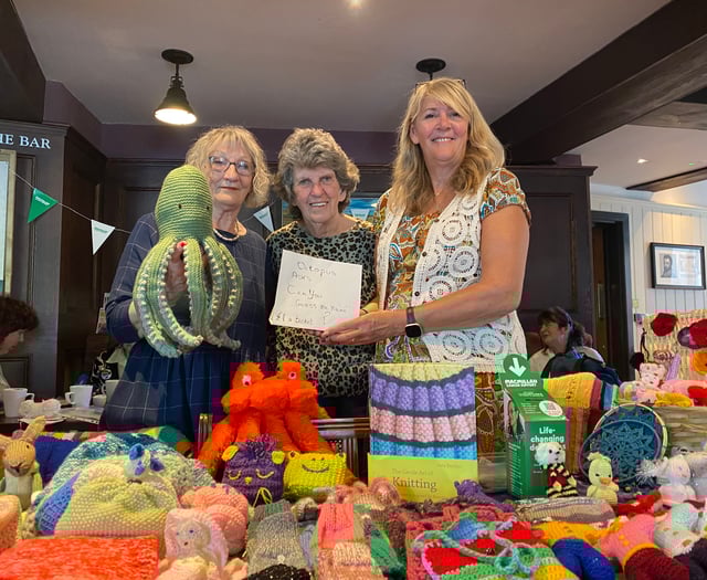 Name the knitted octopus for charity