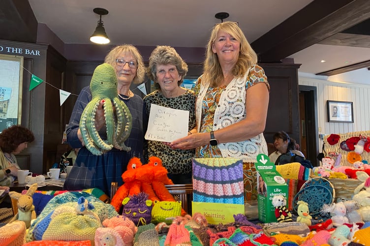 Jo and her happy band of knitters are selling a colourful variety of creations in aid of Macmillan Cancer Support.
