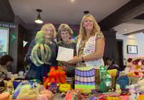 Tavistock knitters' name appeal for wooly octopus