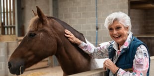 Angela Rippon's advert with Mare and Foal Sanctuary