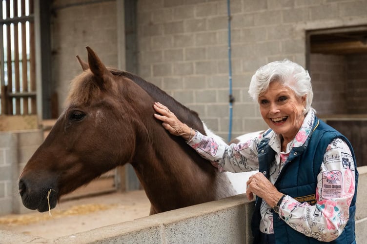 Angela Rippon CBE is a patron of the Mare and Foal Sanctuary in Yelverton.