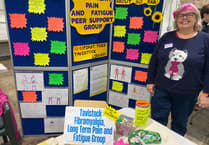 Tavistock wellbeing fair offers advice for all