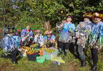 Bere Ferrers has bumper fun at apple festival