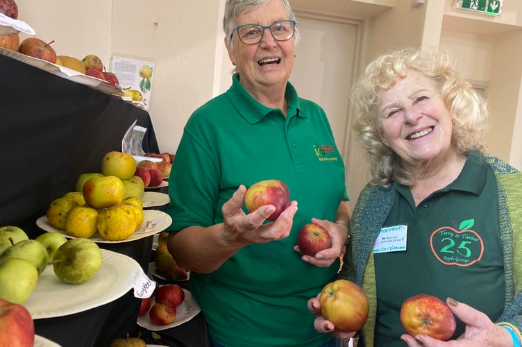 XX Crozier and Dr Frances Howard Pearce identifying more than 70 varieties of apples brought in by visitors to Bere Applefest.
