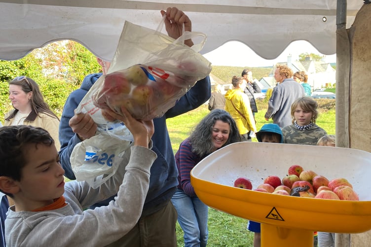 Feeding the apple juicer at Bere Applefest.
