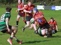 Tavistock game ends early after injury