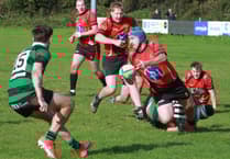 Tavistock RFC game against Honiton ends early after debutant's injury