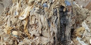 Residents asked to fight the 'fatbergs' infesting sewers