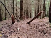 Biker demands action on trail traps