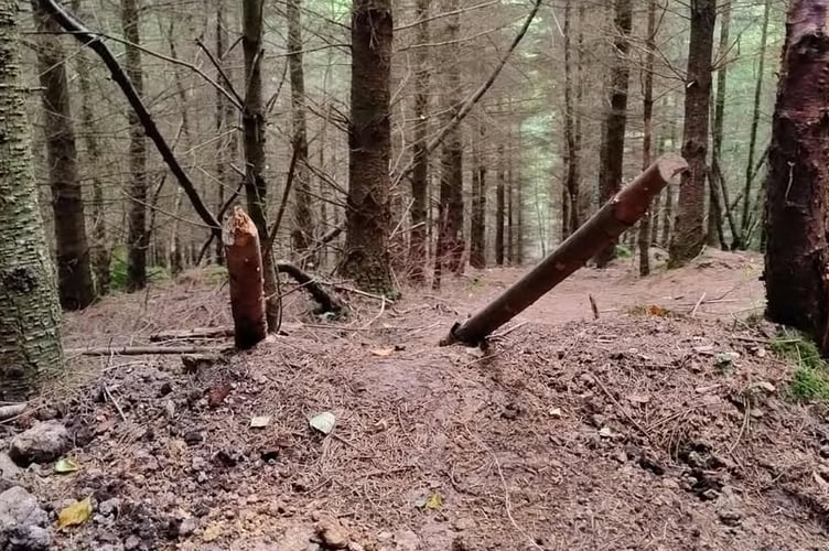 Wooden logs which have been placed over the popular mountain bike trail in Abbeyford Woods.
