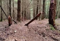 Biker calls out dangerous Devon trail traps
