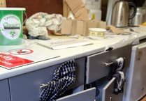 Distressing vandalism at Tavistock community garden