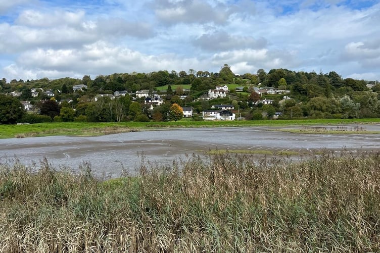A guided walk to Calstock Wetlands looked at biodiversity, natural flood solutions and climate resilience.