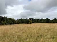 Plans for new 83-hectare woodland north of Okehampton