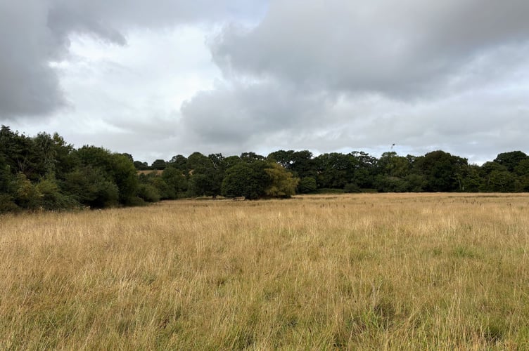 Okement Wood will be open access to the public.