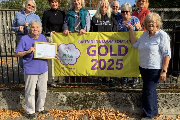 The green-fingered, gold, tipped, team of Bere Alston Villagers who have won gold in the champion of champion large village category of Britain in Bloom, SW region.