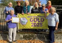 Bere Alston's blooming wonderful gold award