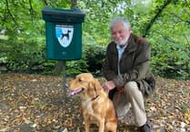 Tavistock dog lovers urged to clear up after pets