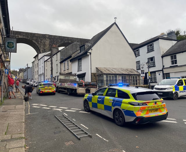 Tragic death at Tavistock viaduct