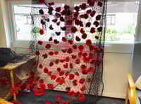 Okehampton group knits over 400 poppies for Remembrance Day display