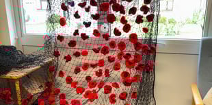 Okehampton group knits over 400 poppies for Remembrance Day display