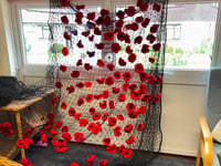 Okehampton group knits over 400 poppies for Remembrance Day display
