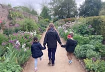 More than 120 Devon children seek adoptive families