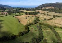 More green space in Torridge and Tavistock than English average
