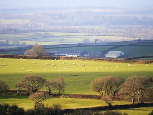 West Devon ranked among least deprived