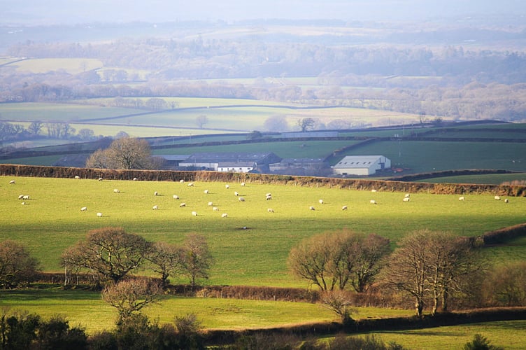 Middlesbrough, Birmingham, Hartlepool, Kingston upon Hull and Manchester are the Local Authority Districts with the highest proportions of neighbourhoods among the most deprived in England.