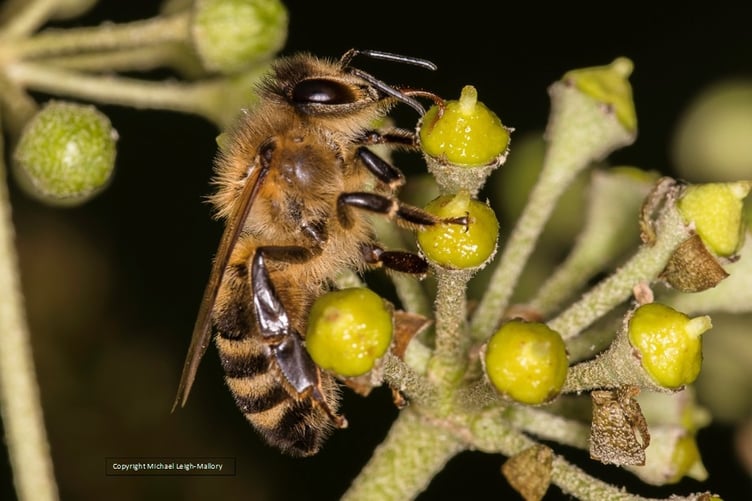 Andrew Brown Dental Practice