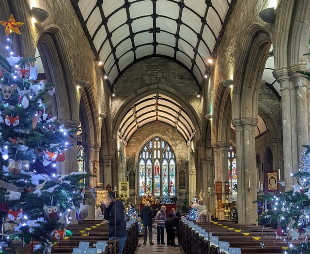 Christmas tree festival coming soon