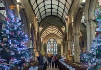 Tavistock Christmas Tree Festival coming soon